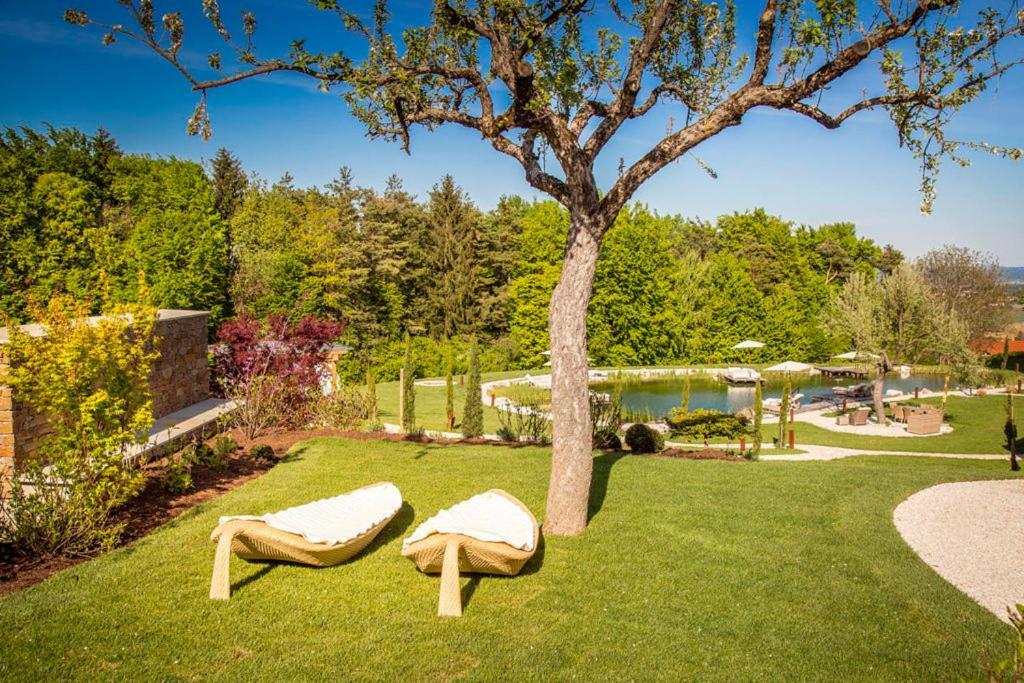 Golden Hill Country Chalets & Suites Waldschach Exterior photo