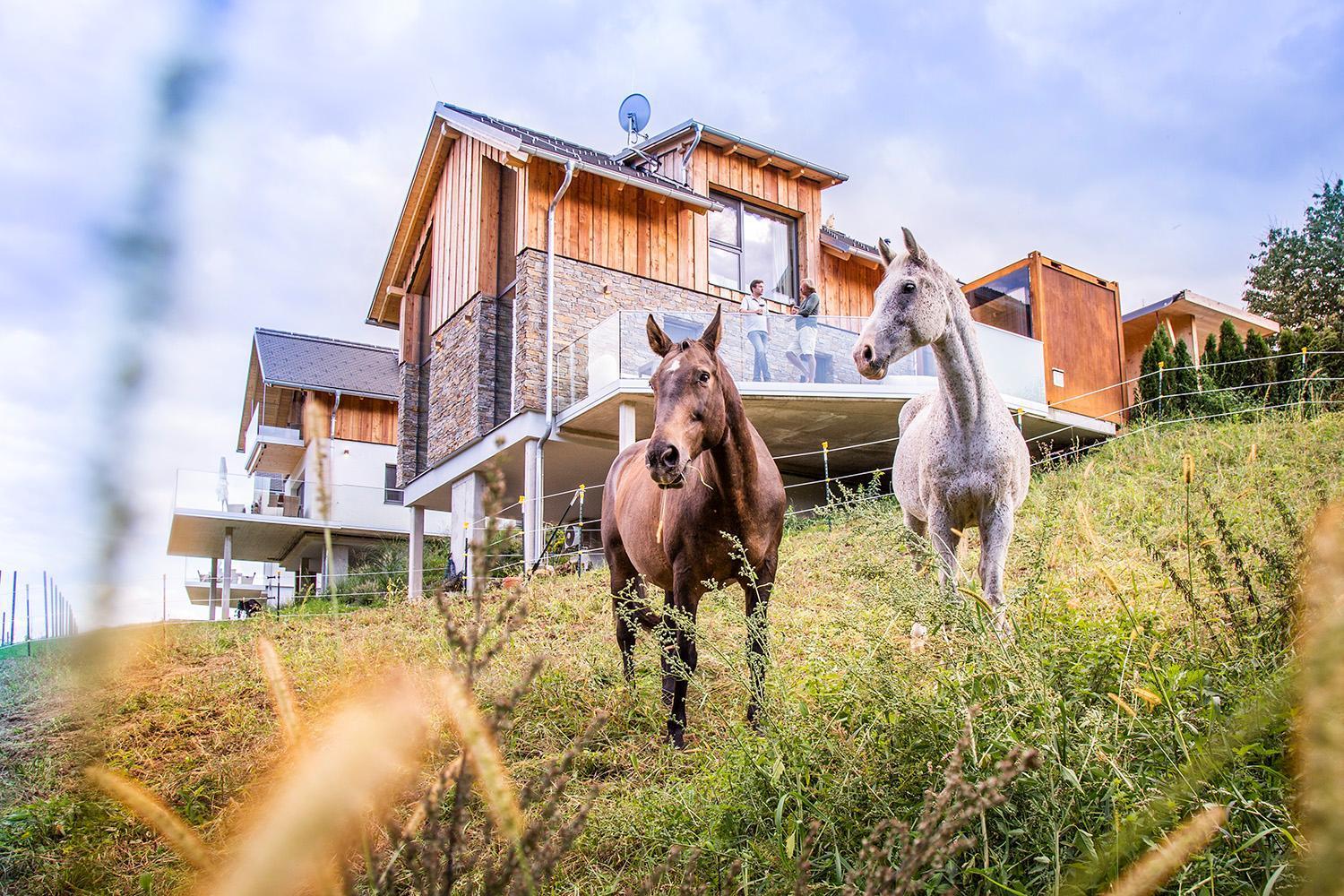Golden Hill Country Chalets & Suites Waldschach Exterior photo