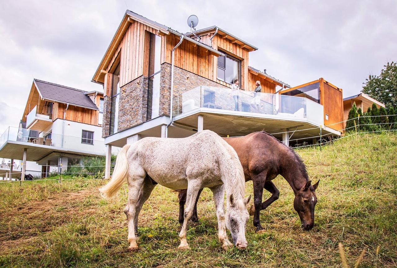 Golden Hill Country Chalets & Suites Waldschach Exterior photo
